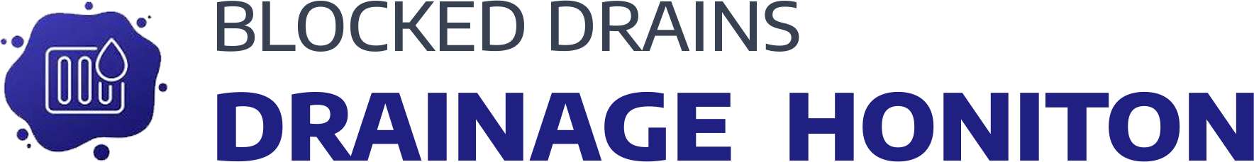 website logo